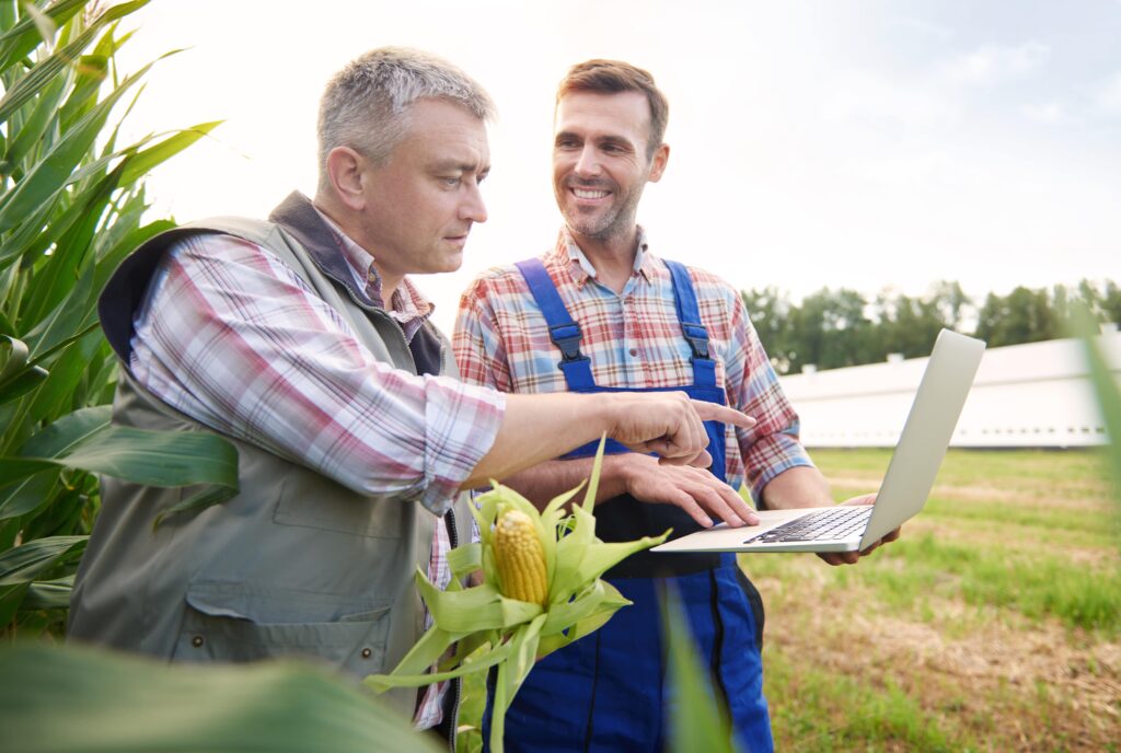 How to invest in farmland for passive income